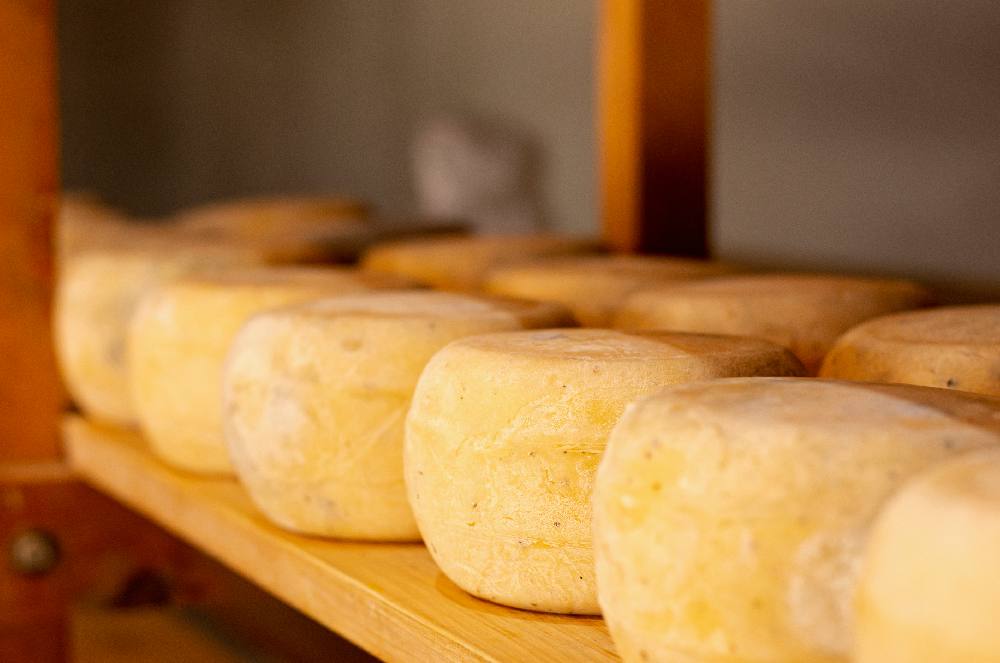 Dr. Paulo Lara explica: tipos de queijo para intolerantes à lactose