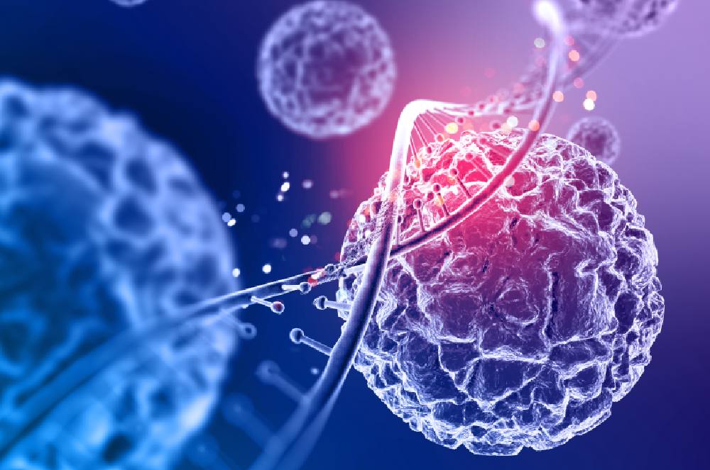 Dr Paulo Lara explica: nandrolona também exige cuidado